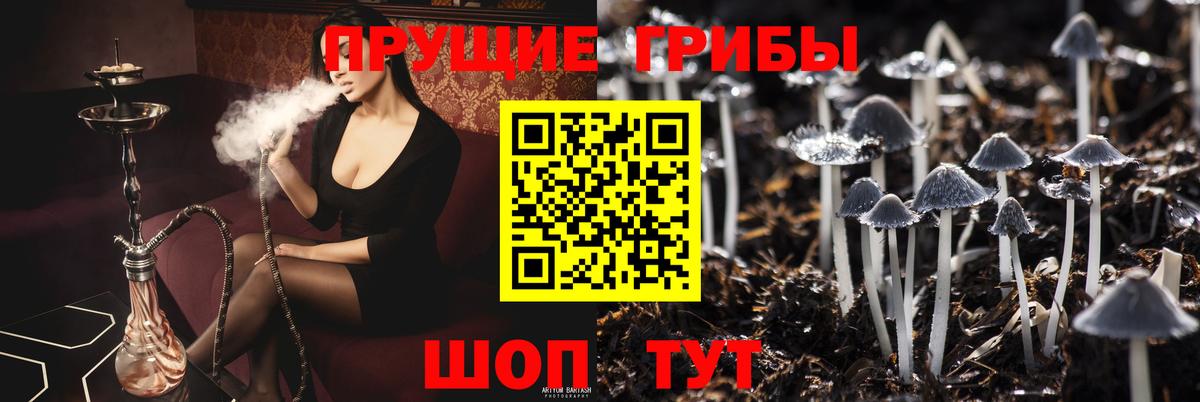 Галлюциногенные грибы Magic Shrooms Нефтекамск